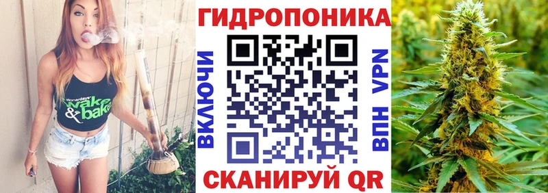 Конопля планчик  Анива 